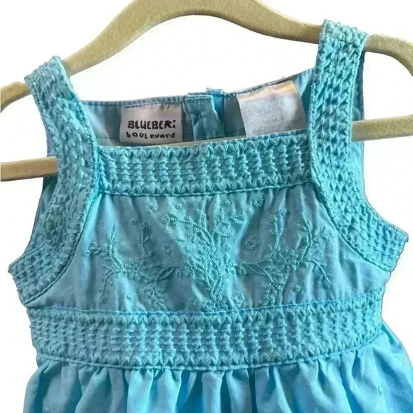 Blueberi - Picture 2 of 7